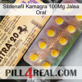 Sildenafil Kamagra 100Mg Oral Jelly new06